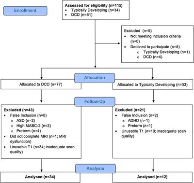 Cerebellar and brainstem differences in children with developmental coordination disorder: A voxel-based morphometry study